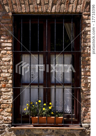 old window grate and yellow flower 17718396