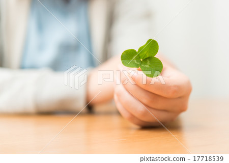 Mitsuba's Clover 17718539