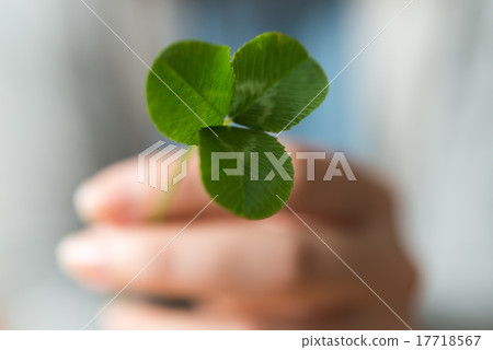 Mitsuba's Clover Mitsuba's Clover 17718567