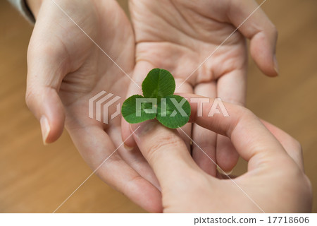 Mitsuba's Clover 17718606