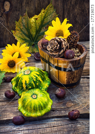 Autumn still life with squash 17719073