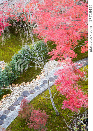 The garden of Shogun's mound of Aoshannon, autumn leaves The garden of Shogun's mound of Aoshannon, autumn leaves 17719433