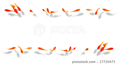 Goldfish banner or message card material Goldfish banner or message card material 17720473