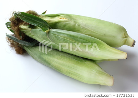 corn  17721535