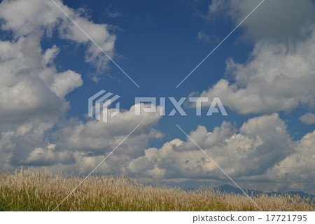 Susukino and clouds in the blue sky 17721795