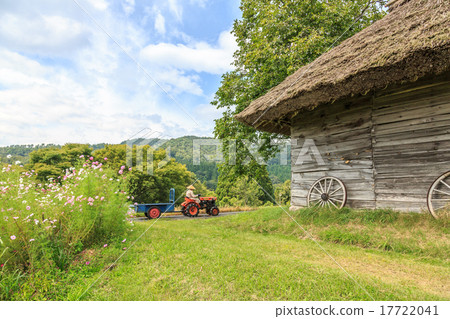 Cosmos and the roof hut and the farmer 17722041