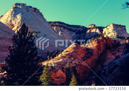 Zion Zion 17723150
