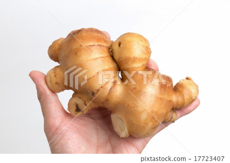 Ginger Ginger 17723407