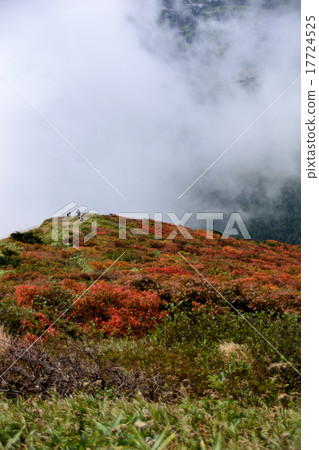 萬代秋葉 17724525