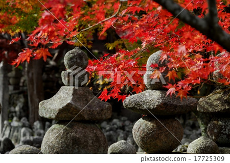 The autumn tinted landscape of the memorial Buddha temple garden in Kyoto 17725309