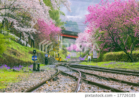Kobe station of flowers and rain 17726185