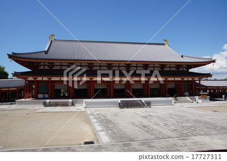 藥師 17727311