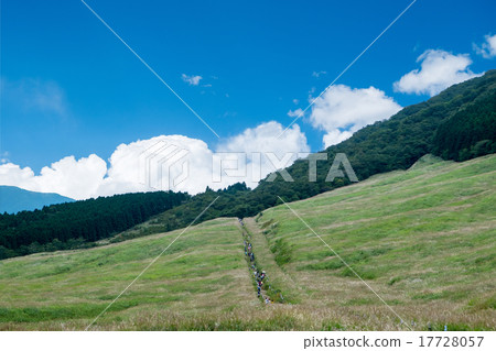 Sengokuhara 17728057