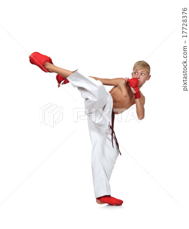 boy  training karate 17728376