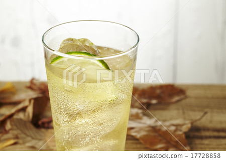 Highball 17728858