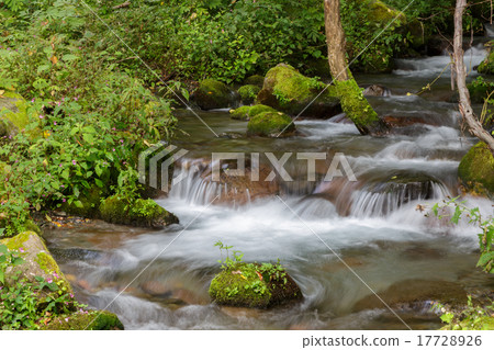Tottori Oyama Kidanisawa溪流 Tottori Oyama Kidanisawa溪流 17728926