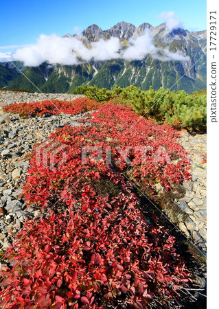 蝴蝶山和Hodaka山的黑甲蟲的秋天色彩 17729171