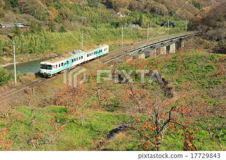 Abukuma express Express going sideways of persimmon field 8100 series Abukuma express Express going sideways of persimmon field 8100 series 17729843
