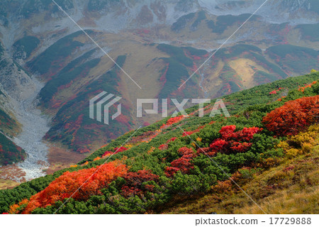 Nishikie in the mountain skirt 17729888