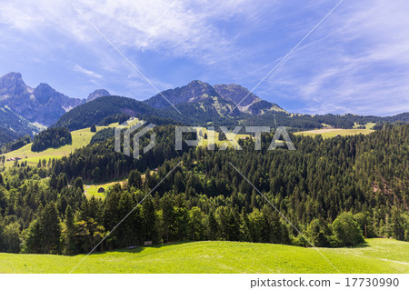 View on the Alps, Switzerland View on the Alps, Switzerland 17730990
