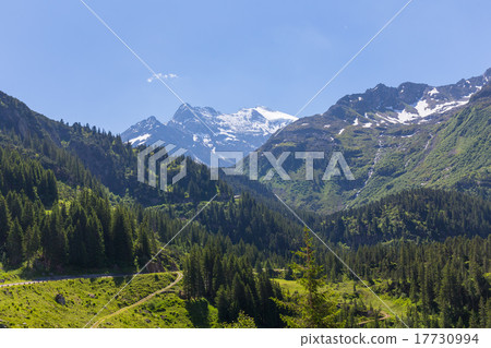 Sustenstrasse pass in Alsp Sustenstrasse pass in Alsp 17730994