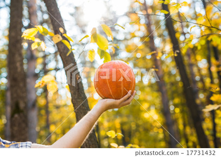 Smiling man carrying pumpkin outdoors Smiling man carrying pumpkin outdoors 17731432