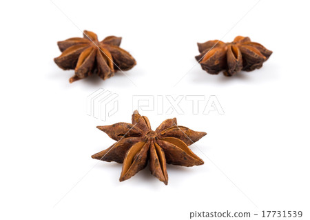 Stars anise 17731539