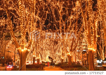 Sendai Hikari no pageant 17733527