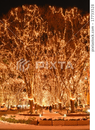 Sendai Hikari no pageant 17733528