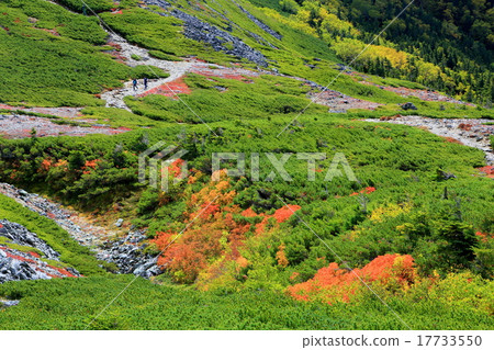 登山者沿著秋天蝴蝶山脊線 登山者沿著秋天蝴蝶山脊線 17733550