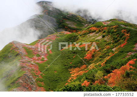 Double mountain ridge of clouds butterfly dragonfly Double mountain ridge of clouds butterfly dragonfly 17733552