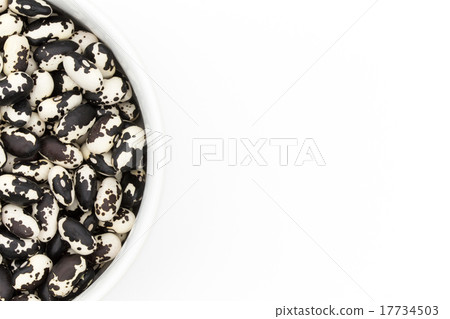 Panda beans 17734503