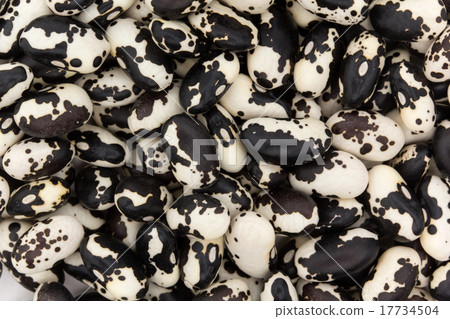 Panda beans 17734504