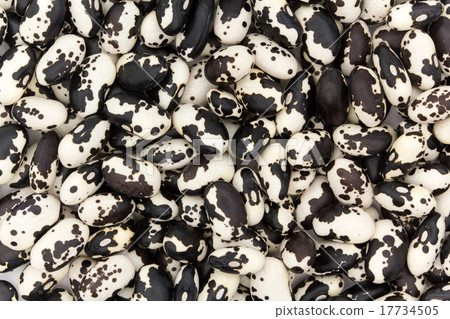 Panda beans 17734505