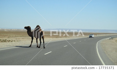 哈薩克斯坦Mangistau 17735371