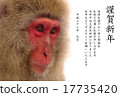 年卡用新年卡 17735420