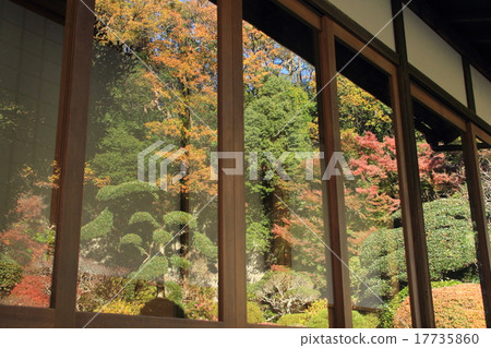 秋葉在玻璃窗反射了 17735860