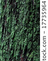 Trunk moss 17735964