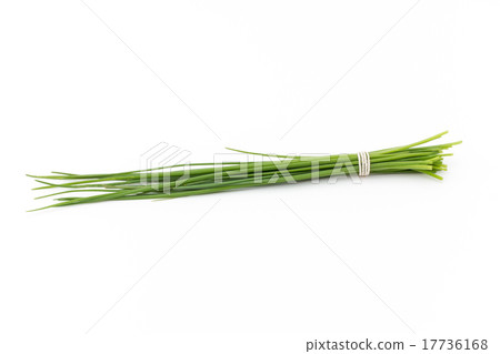 Chives Chives 17736168