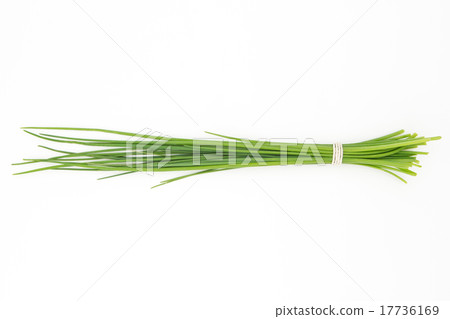 Chives 17736169