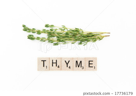 Time (THYME) Time (THYME) 17736179