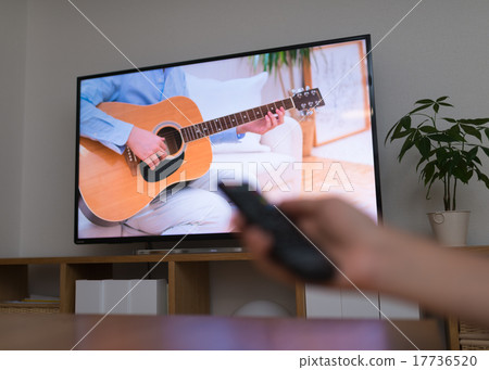 電視圖像圖像 17736520