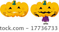 pumpkin 17736733