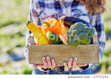Young woman holding wooden crate with vegetables 17737253