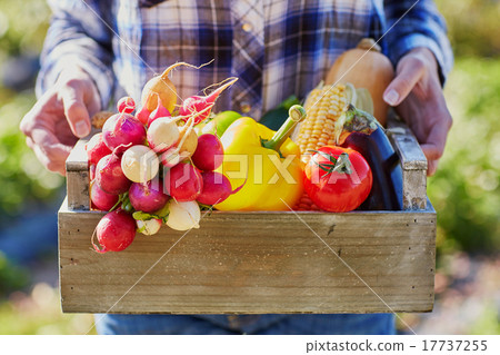 Young woman holding wooden crate with vegetables 17737255