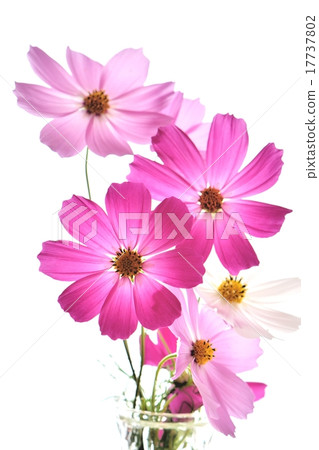 宇宙在透射光下 17737802