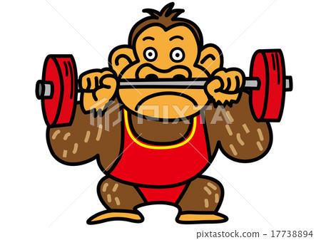 大猩猩舉起槓鈴 17738894