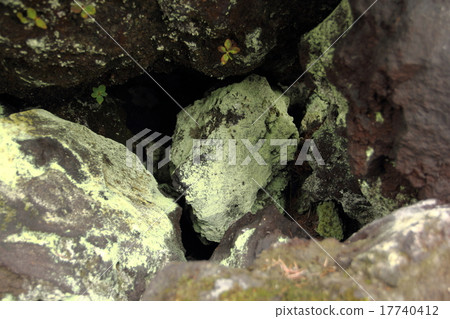 Hikarigogake(淺間堅子) Hikarigogake(淺間堅子) 17740412