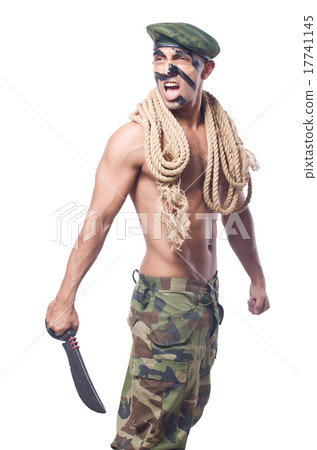 Soldier isolated on the white background 17741145