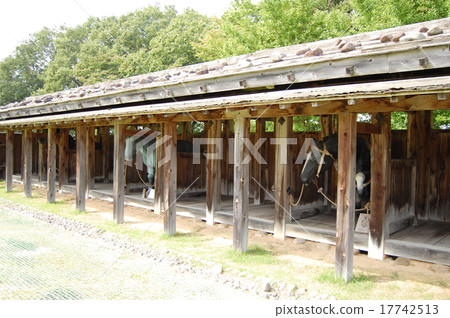 Negishi 100大城堡 17742513